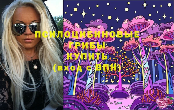 соль курить ск Белокуриха