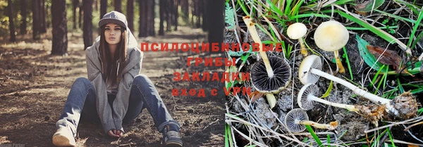 a pvp Белоозёрский