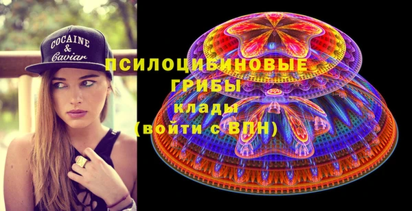 соль курить ск Белокуриха