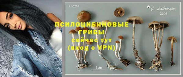 a pvp Белоозёрский