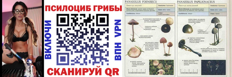 наркотики  Нариманов  Псилоцибиновые грибы прущие грибы 