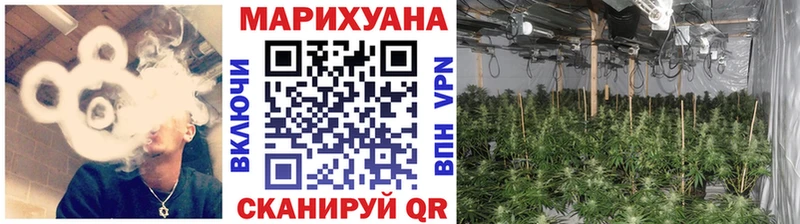 Бошки марихуана сатива Нариманов